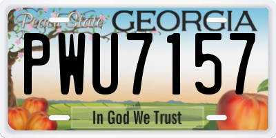 GA license plate PWU7157