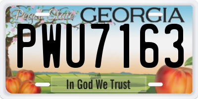 GA license plate PWU7163