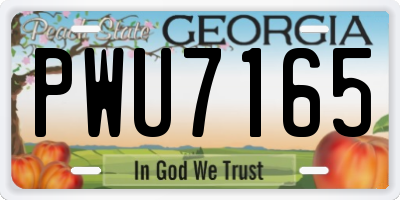 GA license plate PWU7165