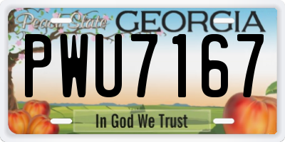 GA license plate PWU7167