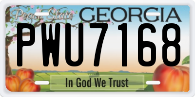 GA license plate PWU7168
