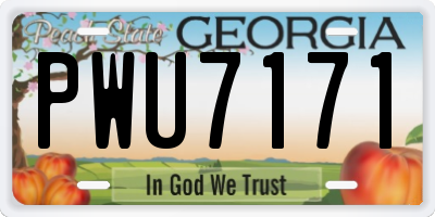 GA license plate PWU7171