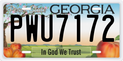 GA license plate PWU7172