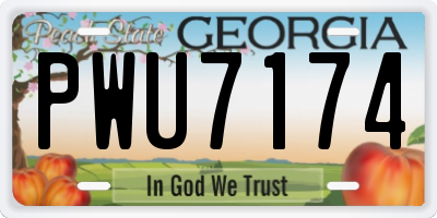 GA license plate PWU7174