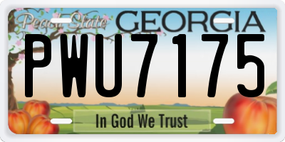 GA license plate PWU7175