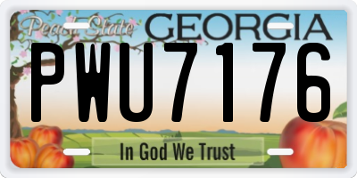 GA license plate PWU7176