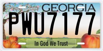 GA license plate PWU7177