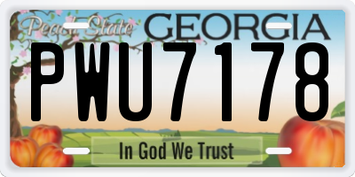 GA license plate PWU7178