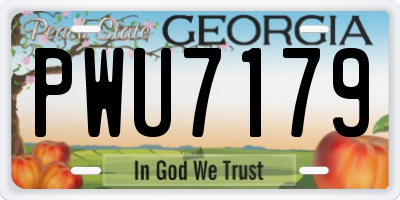 GA license plate PWU7179
