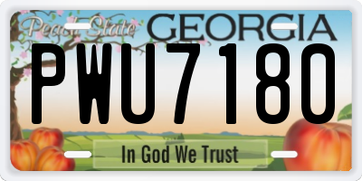 GA license plate PWU7180
