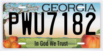 GA license plate PWU7182