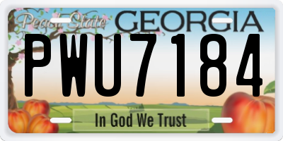 GA license plate PWU7184
