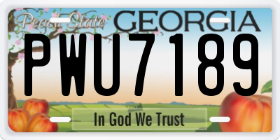 GA license plate PWU7189