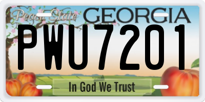 GA license plate PWU7201