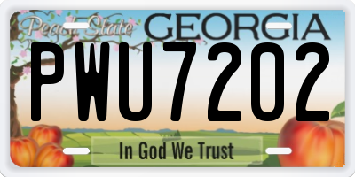 GA license plate PWU7202