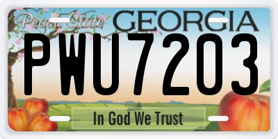 GA license plate PWU7203
