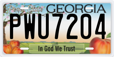 GA license plate PWU7204