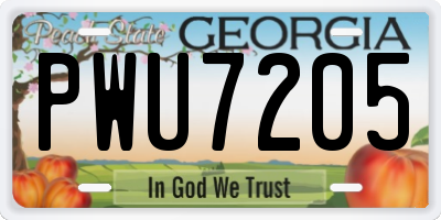 GA license plate PWU7205