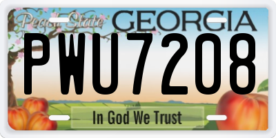 GA license plate PWU7208