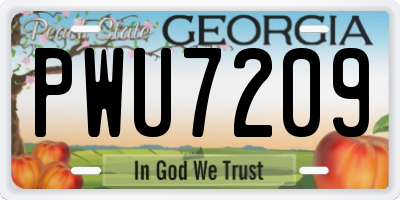 GA license plate PWU7209