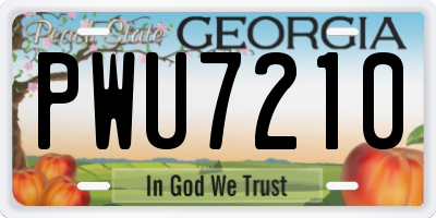 GA license plate PWU7210