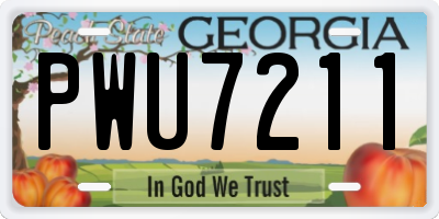 GA license plate PWU7211