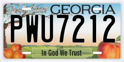 GA license plate PWU7212