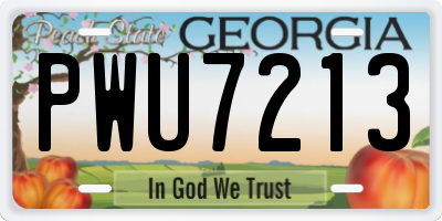 GA license plate PWU7213