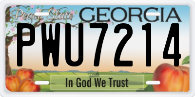 GA license plate PWU7214