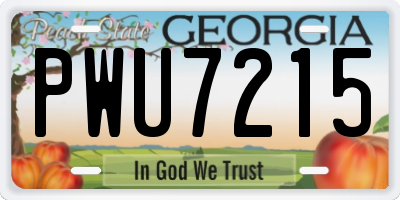 GA license plate PWU7215