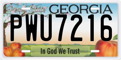 GA license plate PWU7216