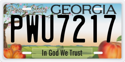 GA license plate PWU7217