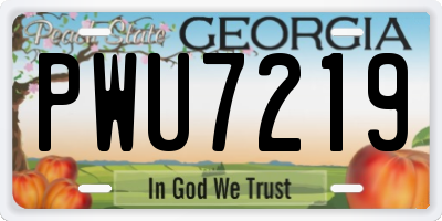 GA license plate PWU7219