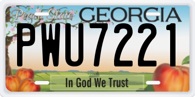 GA license plate PWU7221