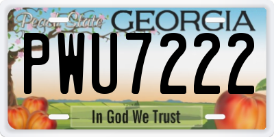 GA license plate PWU7222