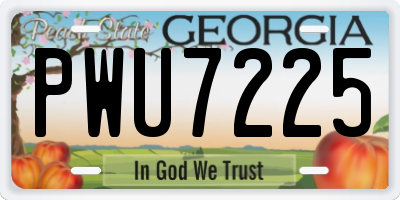 GA license plate PWU7225