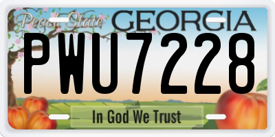 GA license plate PWU7228