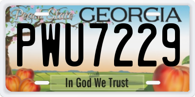 GA license plate PWU7229