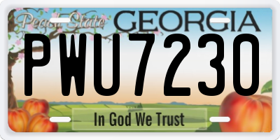 GA license plate PWU7230