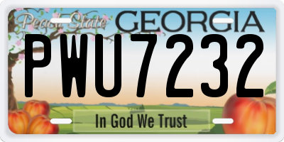 GA license plate PWU7232