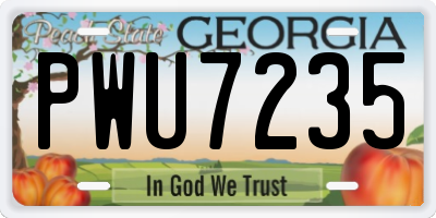 GA license plate PWU7235