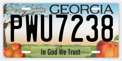GA license plate PWU7238