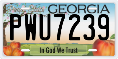 GA license plate PWU7239