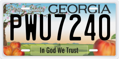 GA license plate PWU7240