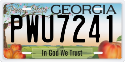 GA license plate PWU7241