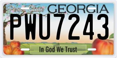 GA license plate PWU7243