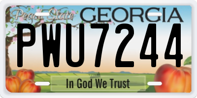 GA license plate PWU7244