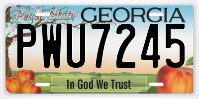 GA license plate PWU7245