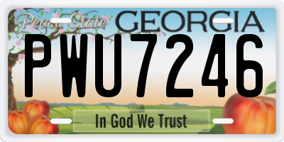 GA license plate PWU7246