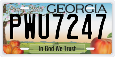 GA license plate PWU7247